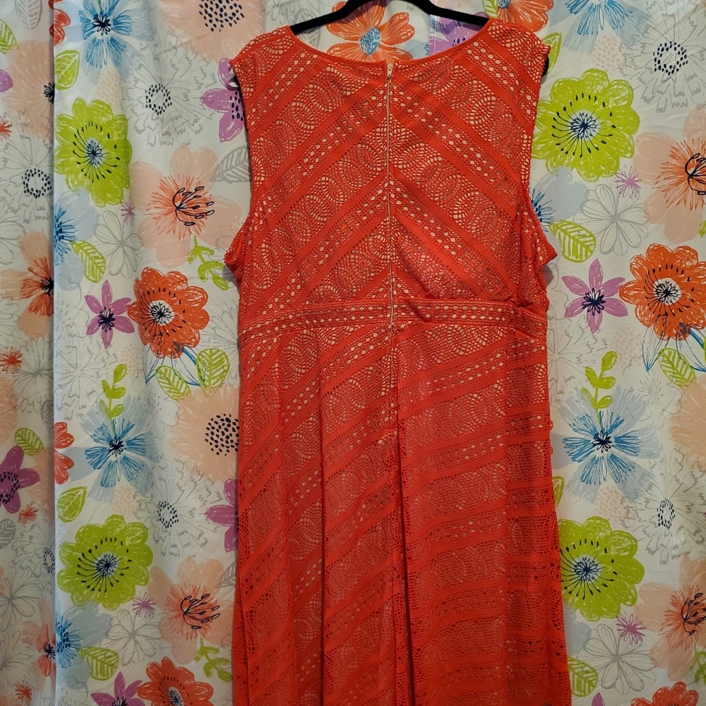 Bisou Bisou Lace Dress - Plus Size